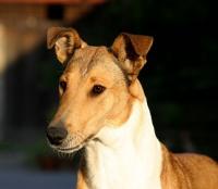 Beauty Krásná Louka