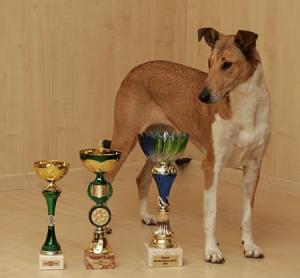 Beauty Krásná Louka