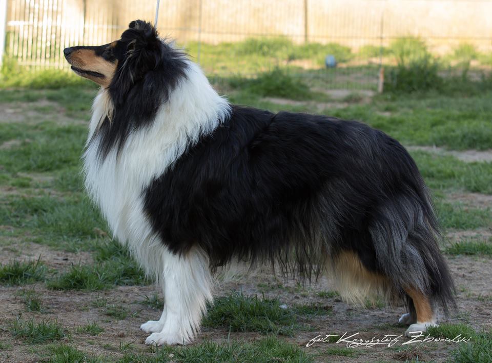 Charme fille Lago Benea