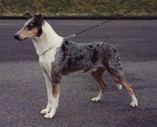 OneWay's Got to Be a Lover