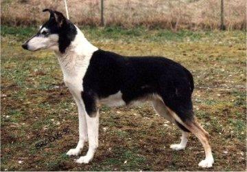 Oneway's Bloody Mary