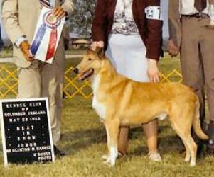 Cherrison Dream of Kings