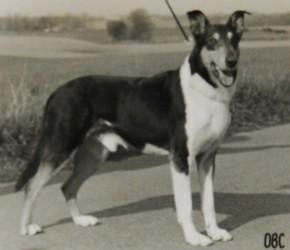 Frazer from Foxearth