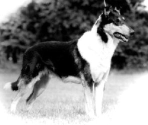 Oneway's Kerry Drake