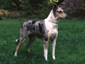 OneWay's Fatal Charm