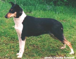 Colombian's Friend's Go With Grace