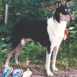 Karenclan's Lucky Mariner