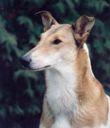 Turella’s Look at me