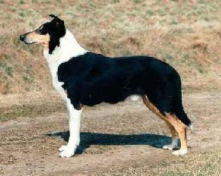 Snuggletooth Hayseed Hobo