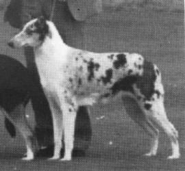 Foxearth High Fidelity