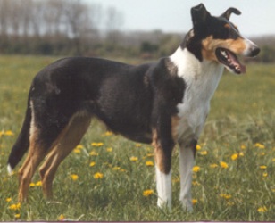 Lizzy van Midden Aarde