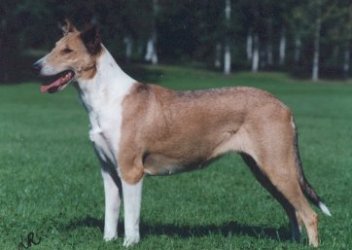 Sandcastle's Oh'LaLa