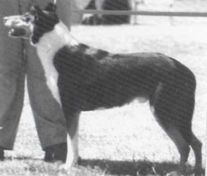 Glenmist Movie Maestro