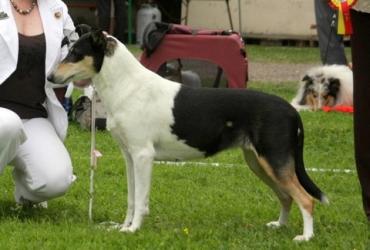 Clingstone's Needless to Say