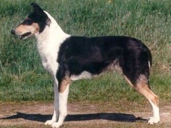 Karenclans Flaming Love