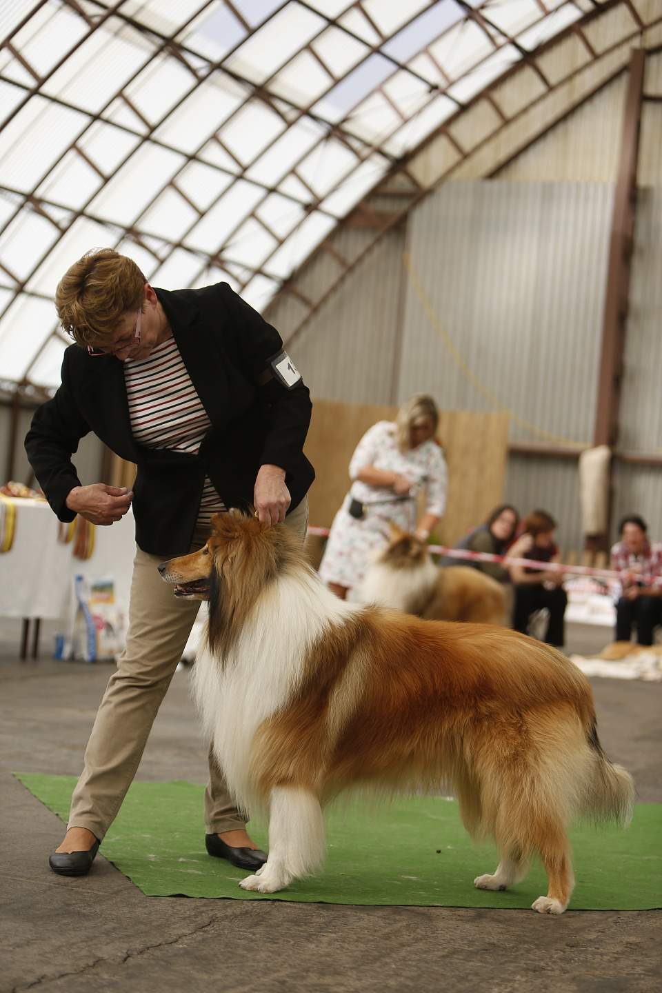 Deann Gold Fredina Agi