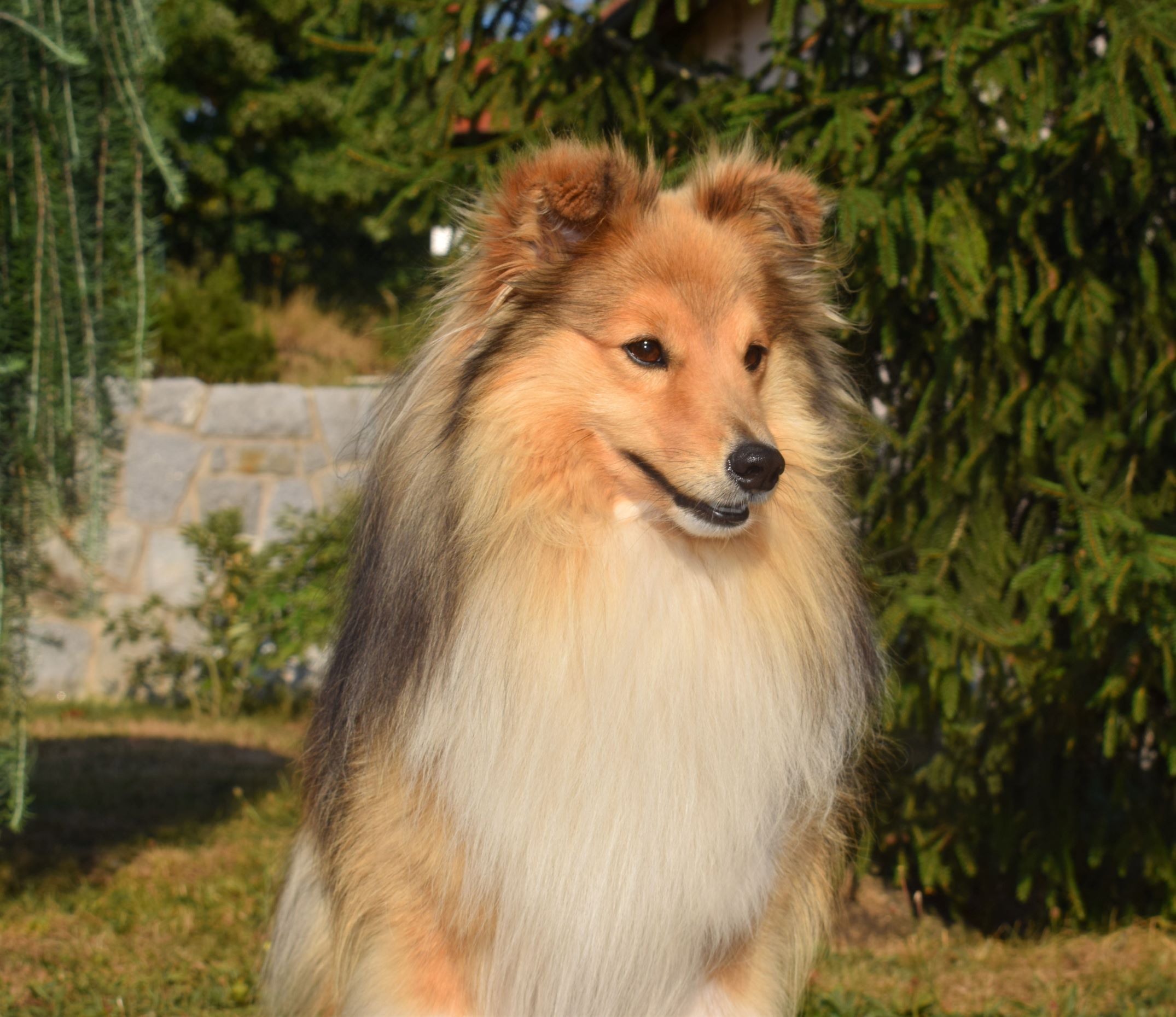 After Forever Sparks of the Tempest