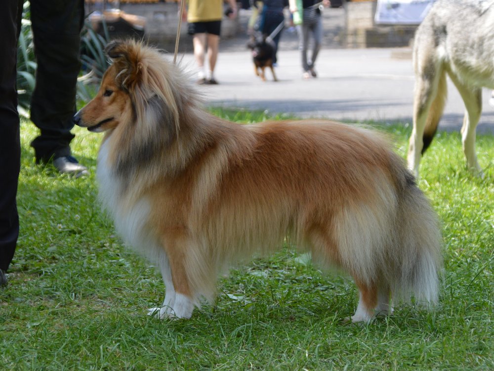 Follow Your Nose Eager To Fame