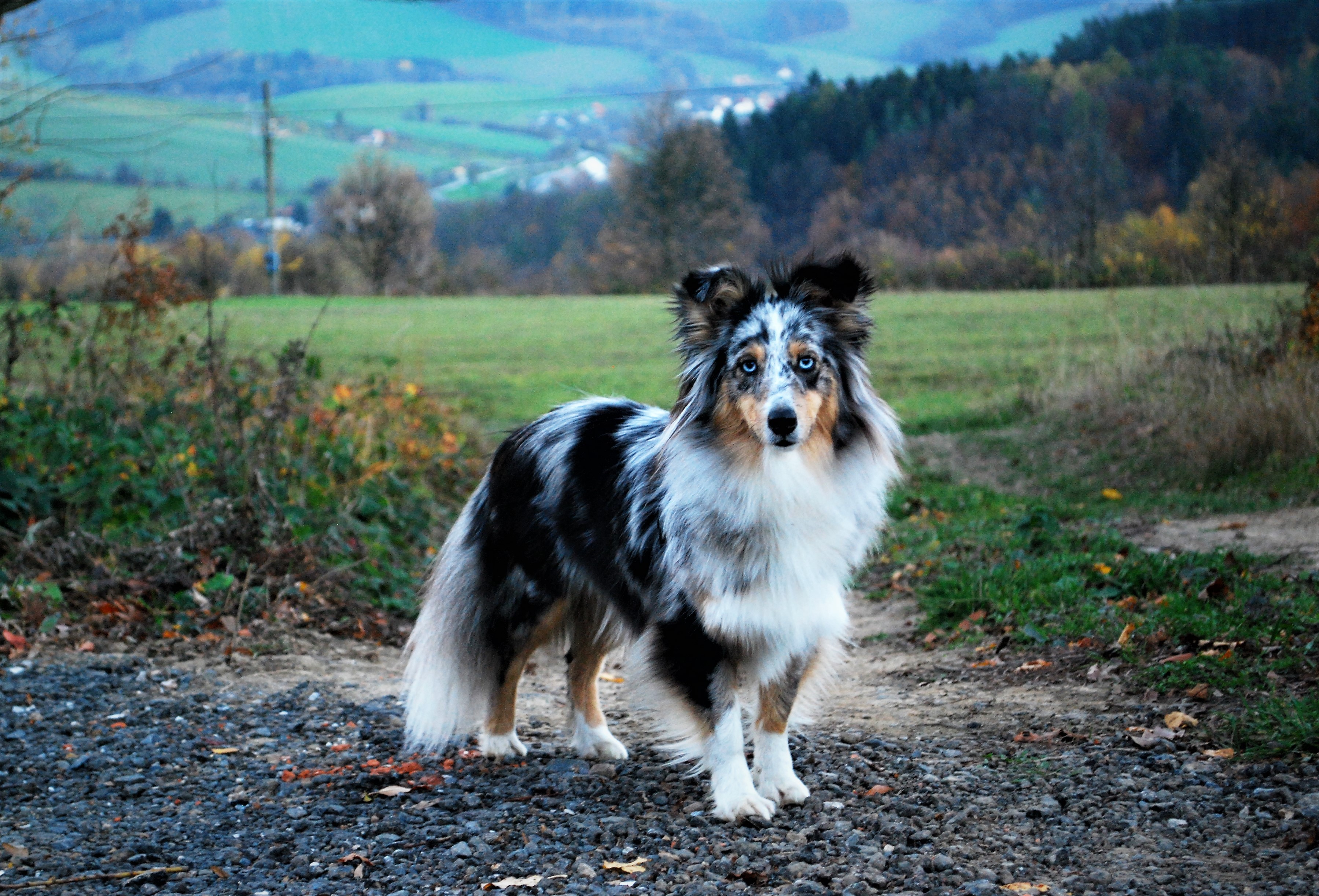 Elizabeth Cotten al Bader