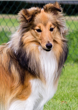 Jane Sparks of the Tempest