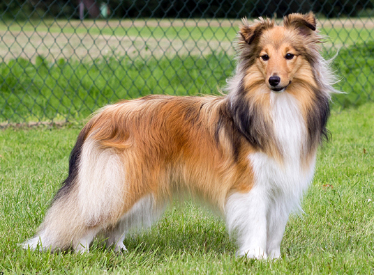 Jane Sparks of the Tempest