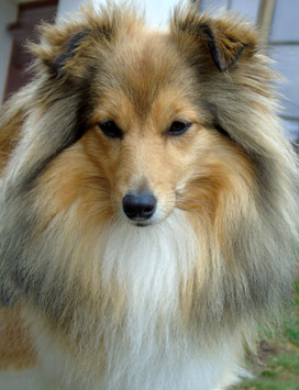 Kristi Sparks of the Tempest