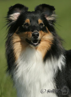 Just for Fun Perla z Polabí