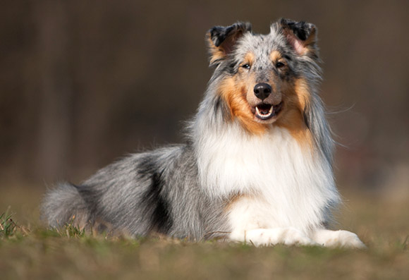 Nittka z Vesničky u hranic