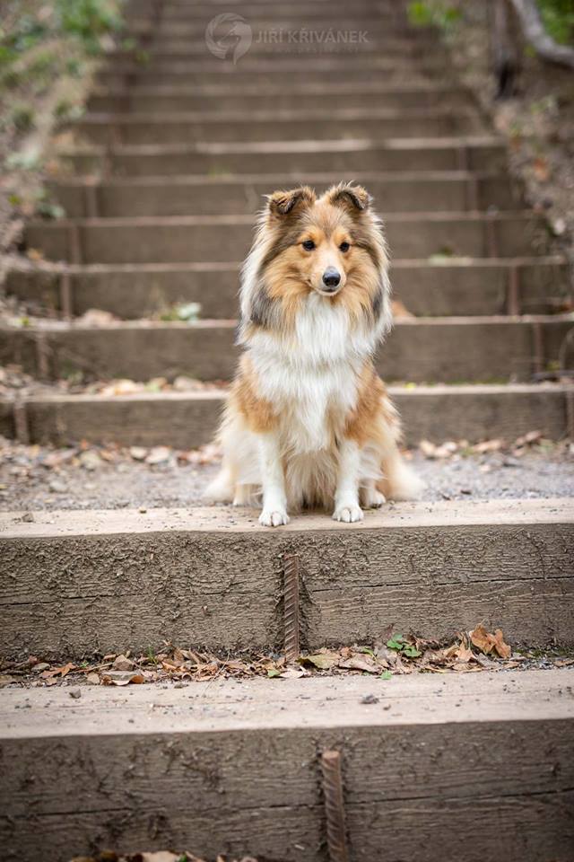 Carcoolca z Diouškova ráje