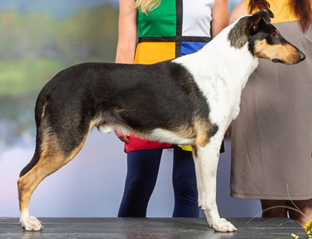 Lugh Little Prince Smart Love