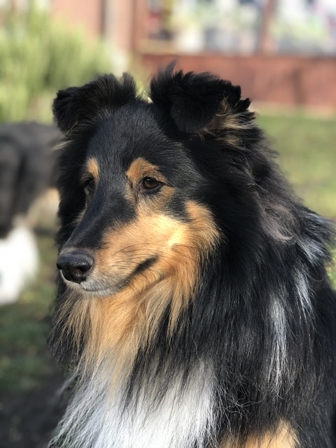 Newton z Otvovické skály