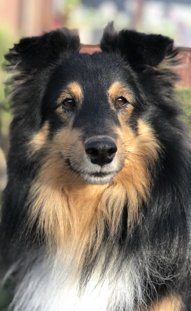 Newton z Otvovické skály