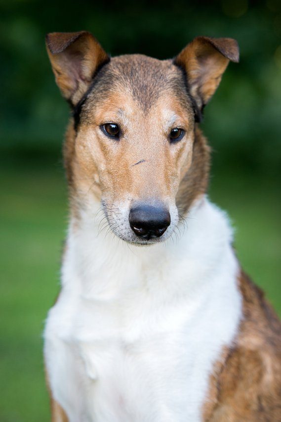 Sandcastle´s Suits Me