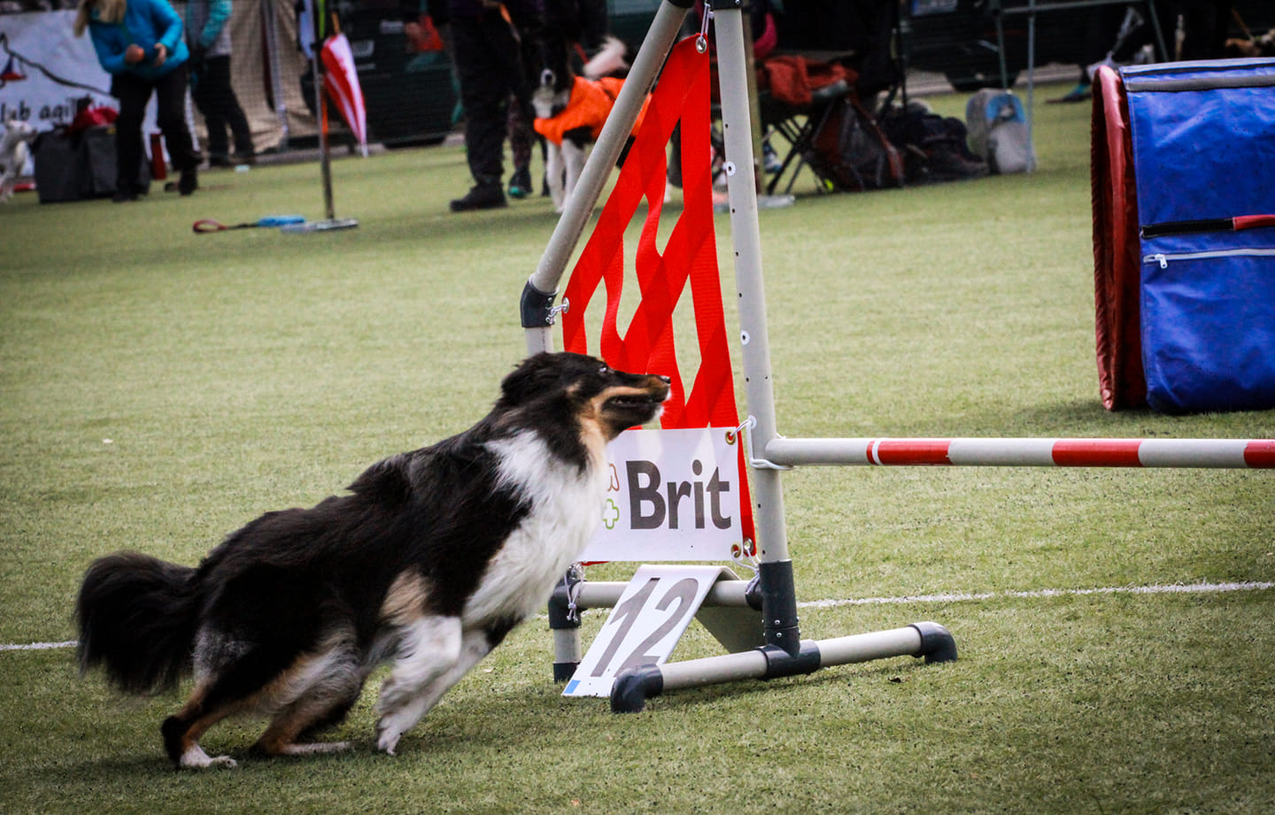 Porsche von Schnappi Schnapp